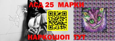 спиды Пенза