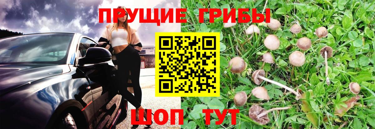 Псилоцибиновые грибы мухоморы Саров